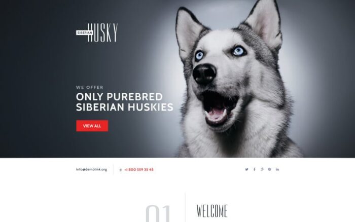 Canine Landing Page Template