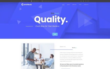 Contributz - Corporate Consulting WordPress Elementor Theme