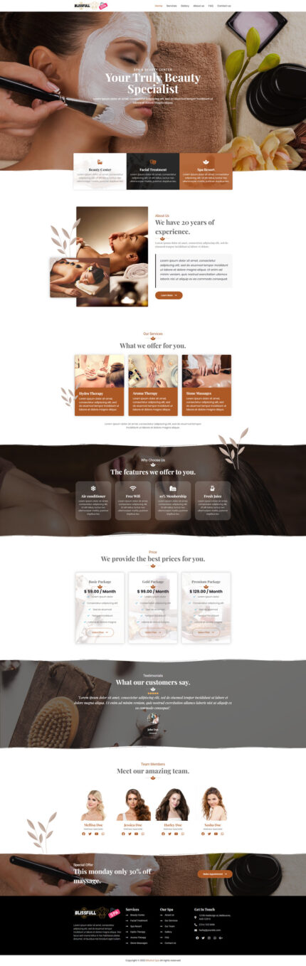 Blissfullspa - Your Truly Beautiful Specialist Wordpress Theme - Features Image 1