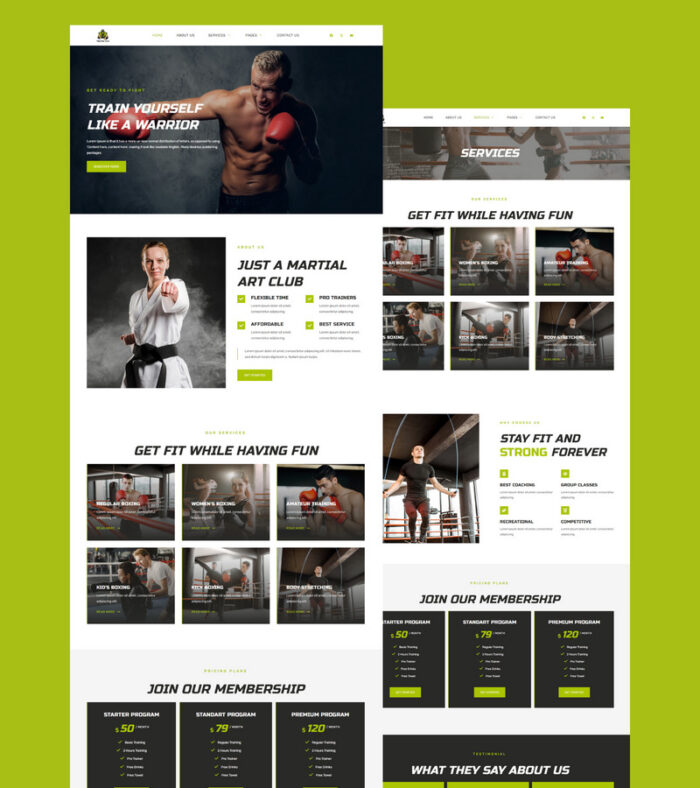 Martial Arts Elementor WordPress Theme - Features Image 1