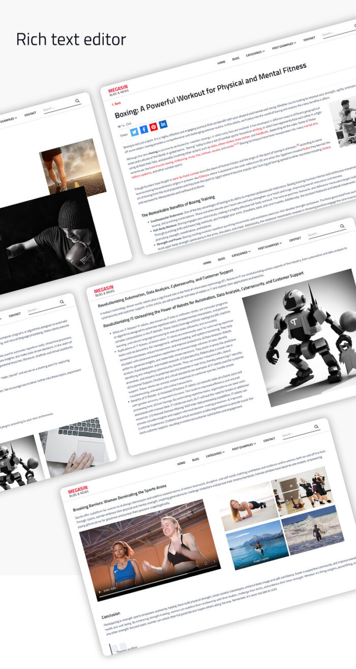 Megasin - Blog, Magazine, News WordPress Theme - Features Image 6