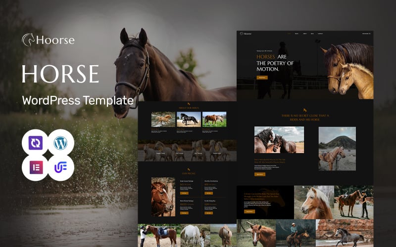 Hoorse - Horse Riding School, Horse Racing And Equestrian Center WordPress Elementor Theme