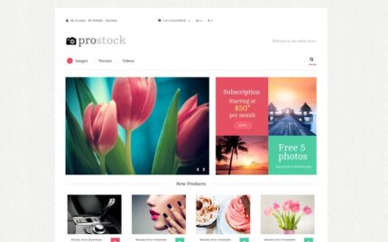 Online Portfolio Magento Theme