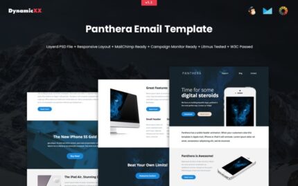 Panthera Newsletter Template + MailChimp + Campaign Monitor Ready