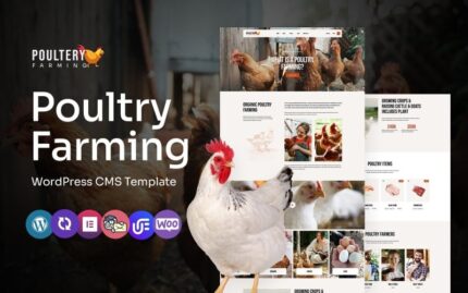 Poultery - Poultry Care And Farming Multipurpose WordPress Elementor Theme