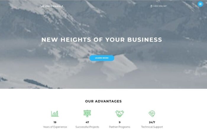 Proconsult Joomla Template