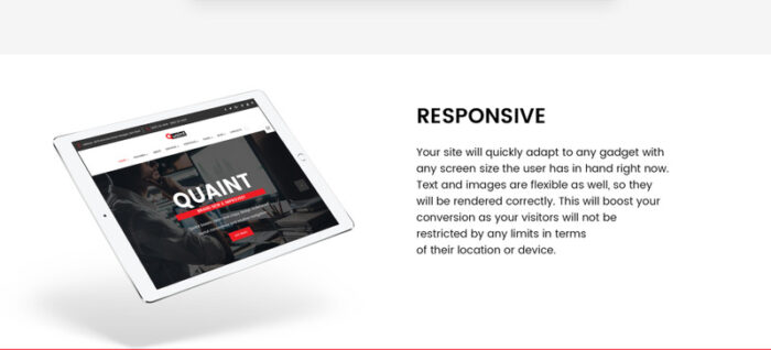 Quaint - Business Flexible Multipurpose Website Template - Features Image 14