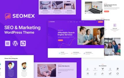 SEOMEX -  SEO Agency and Online Marketing WordPress Theme