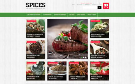 Spiced Dishes for Health Magento Theme