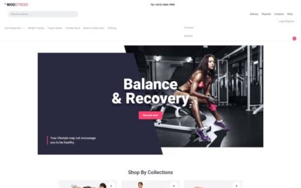 Tm Francy WooCommerce Theme