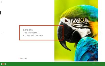 Zoo - Flora & Fauna Responsive Joomla Template